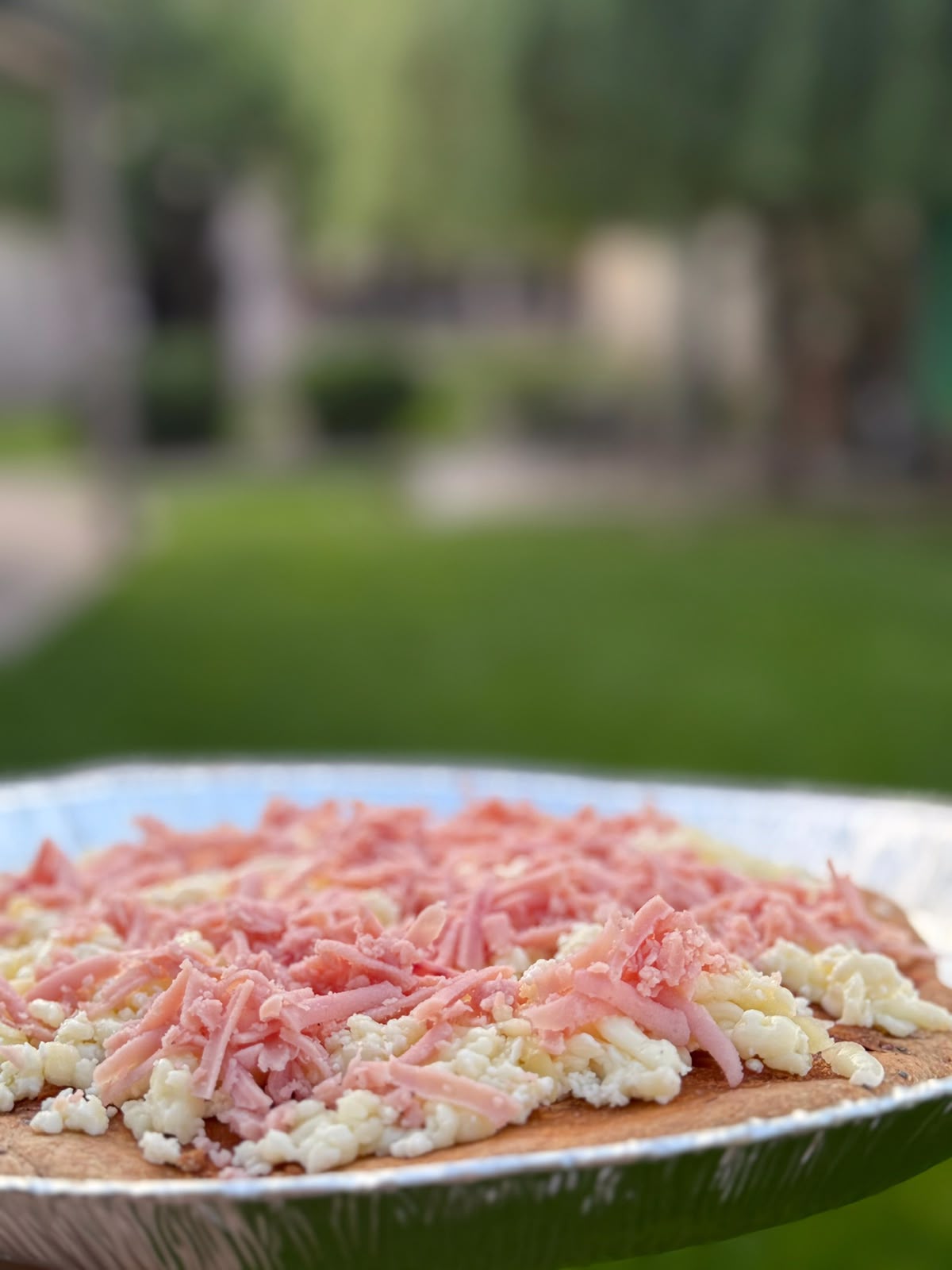 Pizza de masa integral